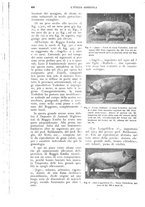 giornale/UM10003065/1926/unico/00000536