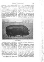 giornale/UM10003065/1926/unico/00000541