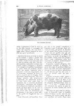 giornale/UM10003065/1926/unico/00000546