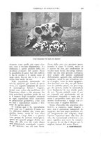 giornale/UM10003065/1926/unico/00000547
