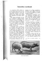 giornale/UM10003065/1926/unico/00000548