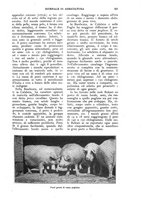 giornale/UM10003065/1926/unico/00000549