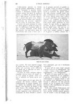 giornale/UM10003065/1926/unico/00000550
