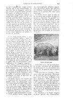 giornale/UM10003065/1926/unico/00000551