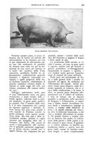 giornale/UM10003065/1926/unico/00000553