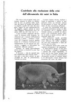 giornale/UM10003065/1926/unico/00000560