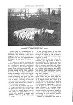 giornale/UM10003065/1926/unico/00000561