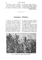 giornale/UM10003065/1926/unico/00000600