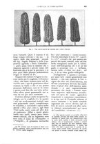 giornale/UM10003065/1926/unico/00000601
