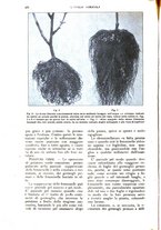 giornale/UM10003065/1926/unico/00000610