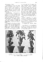 giornale/UM10003065/1926/unico/00000613