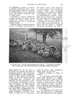 giornale/UM10003065/1926/unico/00000651