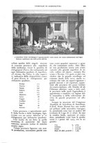 giornale/UM10003065/1926/unico/00000653