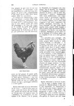 giornale/UM10003065/1926/unico/00000664