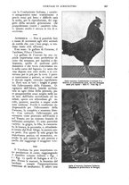 giornale/UM10003065/1926/unico/00000677