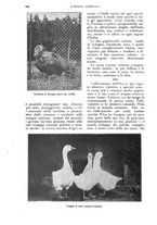 giornale/UM10003065/1926/unico/00000678