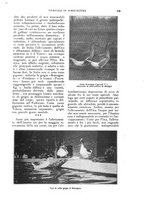 giornale/UM10003065/1926/unico/00000679