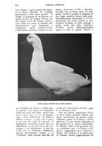 giornale/UM10003065/1926/unico/00000680
