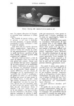 giornale/UM10003065/1926/unico/00000684