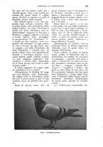 giornale/UM10003065/1926/unico/00000685