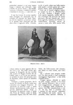 giornale/UM10003065/1926/unico/00000688