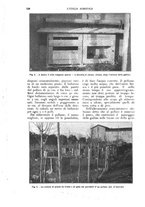 giornale/UM10003065/1926/unico/00000698