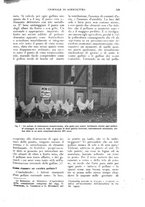 giornale/UM10003065/1926/unico/00000699