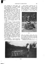 giornale/UM10003065/1926/unico/00000711