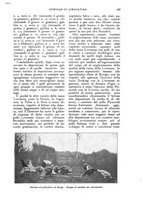 giornale/UM10003065/1926/unico/00000727