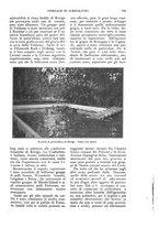 giornale/UM10003065/1926/unico/00000729