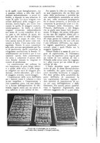 giornale/UM10003065/1926/unico/00000735