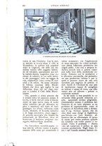 giornale/UM10003065/1926/unico/00000740