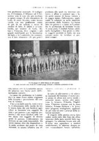 giornale/UM10003065/1926/unico/00000777