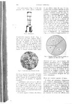 giornale/UM10003065/1926/unico/00000786