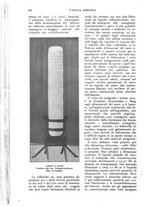 giornale/UM10003065/1926/unico/00000834