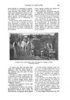 giornale/UM10003065/1926/unico/00000839