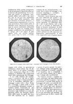 giornale/UM10003065/1926/unico/00000859