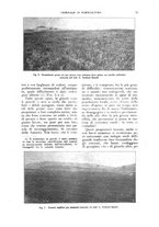giornale/UM10003065/1927/unico/00000025