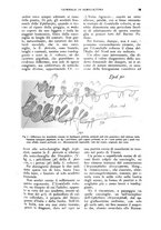 giornale/UM10003065/1927/unico/00000081