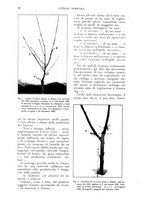 giornale/UM10003065/1927/unico/00000092