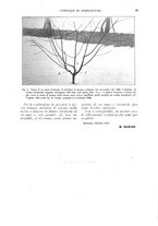 giornale/UM10003065/1927/unico/00000097