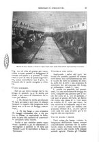 giornale/UM10003065/1927/unico/00000129