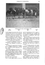 giornale/UM10003065/1927/unico/00000135
