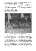 giornale/UM10003065/1927/unico/00000136