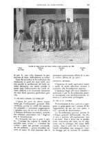 giornale/UM10003065/1927/unico/00000141
