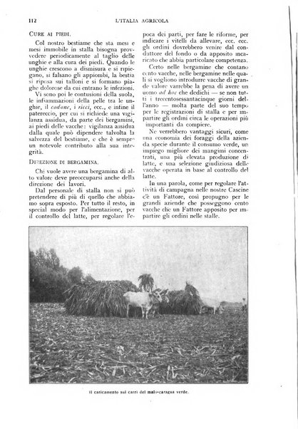 L'Italia agricola