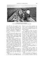giornale/UM10003065/1927/unico/00000213