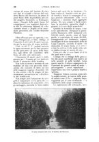 giornale/UM10003065/1927/unico/00000214
