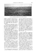 giornale/UM10003065/1927/unico/00000215