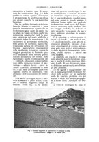 giornale/UM10003065/1927/unico/00000227